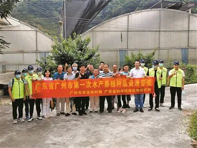 广州：首次开展水产养殖种质资源普查，发现一批“杂交”新种