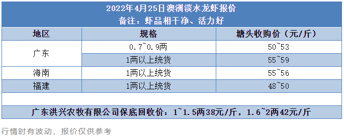 广州“摘星”，广东澳龙价格最高涨4元/斤！海南、福建价格怎样了？