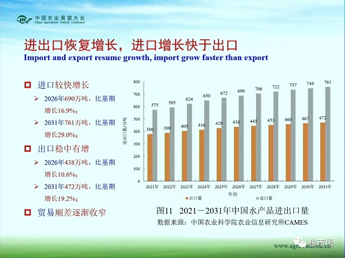 未来十年，水产品市场变局如何？《中国水产品展望报告（2022-2031）》发布