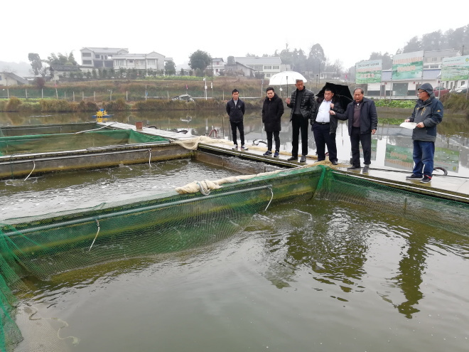 贵州毕节市组织企业赴遵义市考察池塘内循环生态养殖