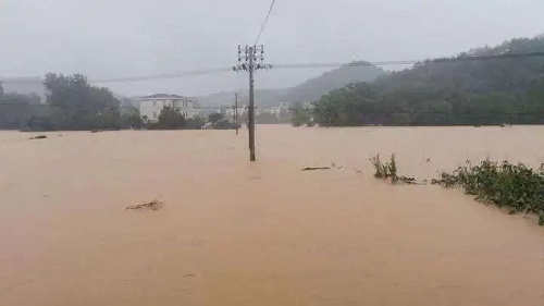 暴雨冲走上百万斤牛蛙？百亩鱼塘变千亩，广西江西等地大量鱼塘被淹！靠天吃饭的养殖户