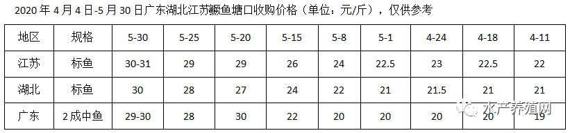 涨势喜人！鳜鱼加州鲈用涨价迎接6月！毁约赔订金的养殖户这次赌对了！