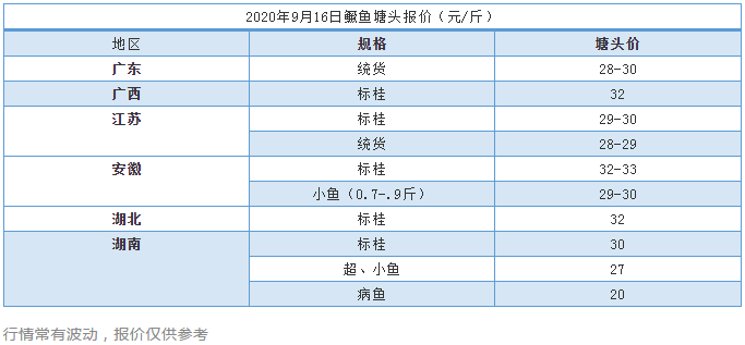 大跳水！鳜鱼两天最高跌4.5元/斤！病鱼冲击，后市鱼价扑朔迷离