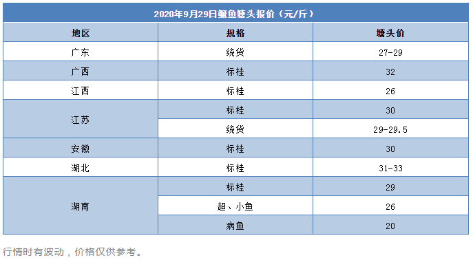 节前备鱼完毕，鳜鱼价格微跌，黄金周前两日消费量将成关键转折点