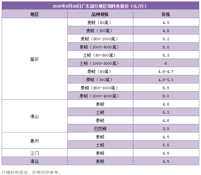 节前备鱼完毕，鳜鱼价格微跌，黄金周前两日消费量将成关键转折点