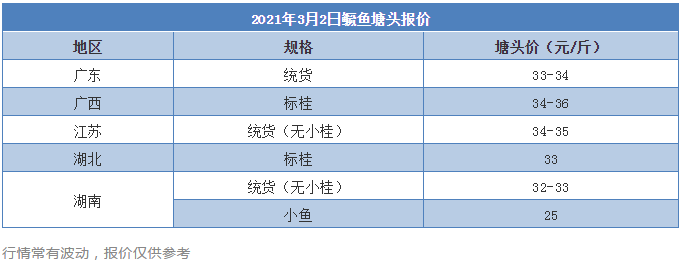 全线缺鱼，鳜鱼大涨5元/斤！饵料鱼价高仍遭疯抢，今年养这条鱼能大赚吗？