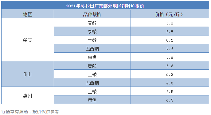 全线缺鱼，鳜鱼大涨5元/斤！饵料鱼价高仍遭疯抢，今年养这条鱼能大赚吗？