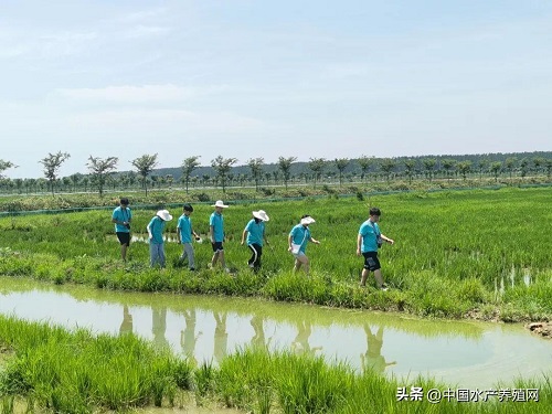 江苏泗洪：探访“中国螃蟹之乡”，寻虾蟹产业富民路