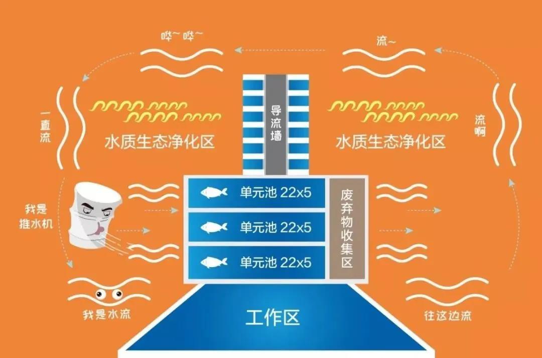 如何解决中国渔业的主要矛盾？喜欢有氧运动的“跑步鱼”有话说