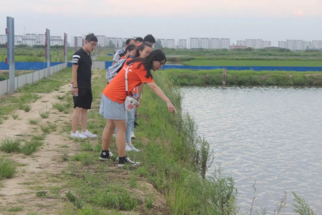 探索稻鳖共生，实现种养双赢|合工大食品学院稻渔科技支农团