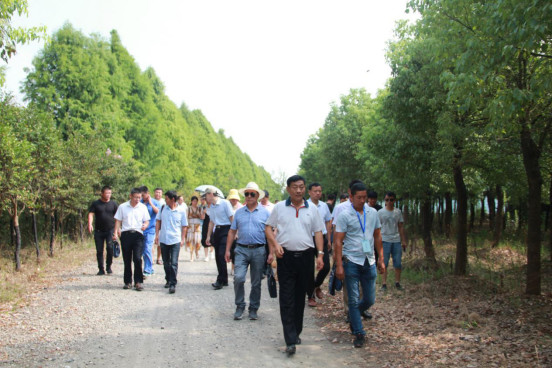 年产龟鳖20万斤，“荷鳖鱼共生”等绿色模式在这里大显身手！