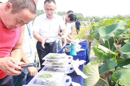 年产龟鳖20万斤，“荷鳖鱼共生”等绿色模式在这里大显身手！