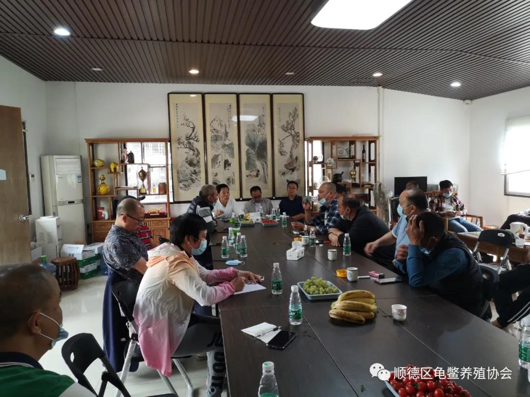 广东省佛山市顺德区龟鳖养殖协会龟鳖信息座谈会