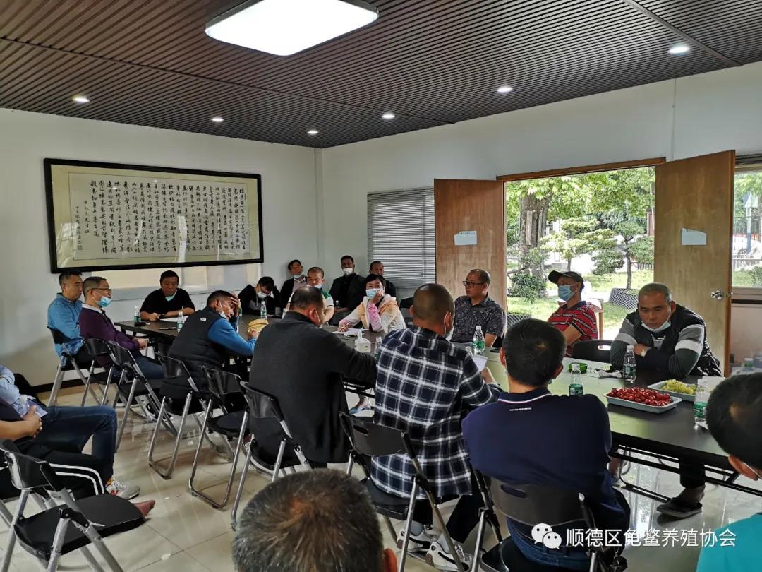 广东省佛山市顺德区龟鳖养殖协会龟鳖信息座谈会