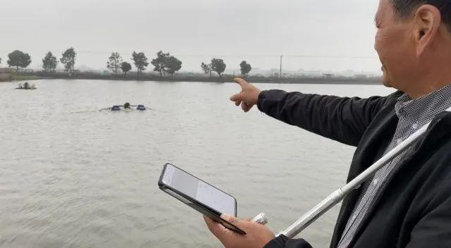 浙江嘉兴：鱼塘里面修“跑道”，“健身鱼”好吃的奥秘是……