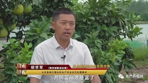 厉害：一个普通农民养鱼17年，2020年被评为“全国劳动模范”