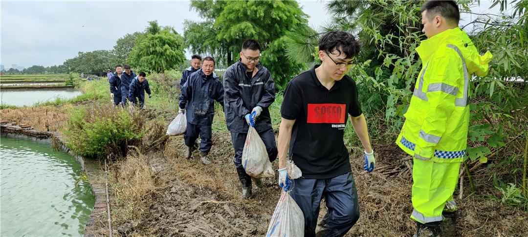 筑围抢险，决战到底，浙江嘉善这个养殖场60多万只甲鱼保住了