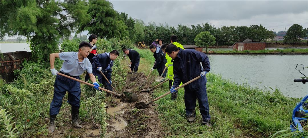 筑围抢险，决战到底，浙江嘉善这个养殖场60多万只甲鱼保住了