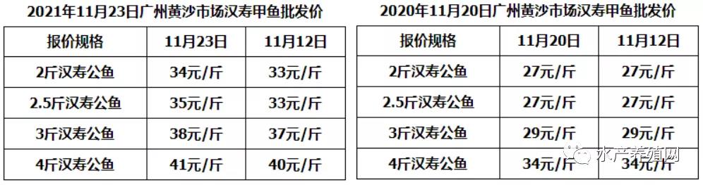 一天一个价，甲鱼抖起来了，同比贵7元！养殖户惜售心态重，未来还能涨吗？