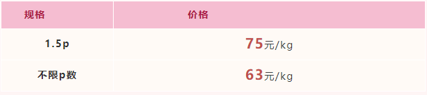 2022年2月25日-2022年3月3日福建市场活鳗批发报价