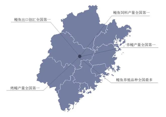 中国鳗鱼养殖业市场现状分析：福建省鳗鱼养殖五个全国第一