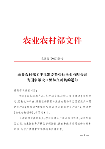 目标10个亿！“皖鲈1号”销售火爆！新品种抗病力强、长速快、条形好