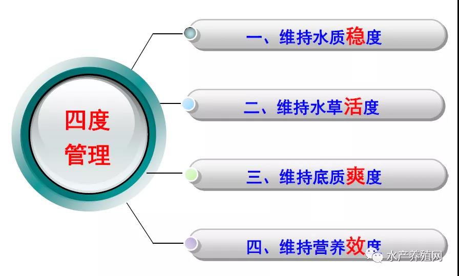 高温多雨天来袭，水质底质差，水草保不住……一个环节做不好，可能就亏大钱