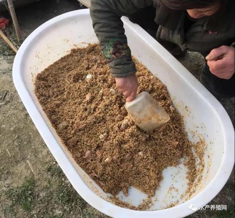 高温多雨天来袭，水质底质差，水草保不住……一个环节做不好，可能就亏大钱