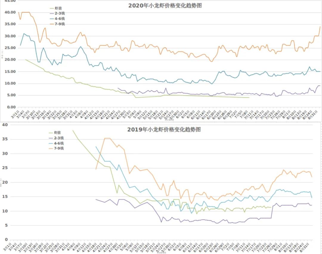 重磅发布：中国小龙虾总产值3448亿元，养殖面积2184.63万亩，位居虾类第一