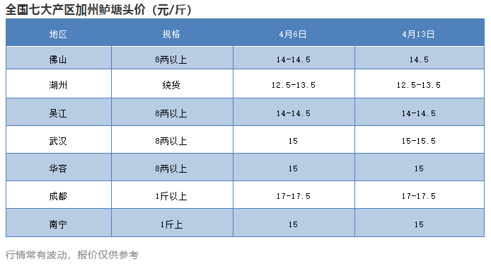 火爆！江苏迎来投苗高峰，浙江加州鲈统货成抢手货