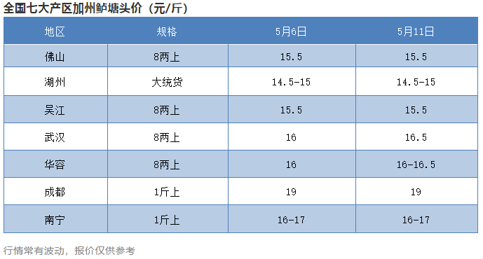 惨烈！活鱼变冰鲜鱼贱卖！高鱼价暗藏哪些高风险？