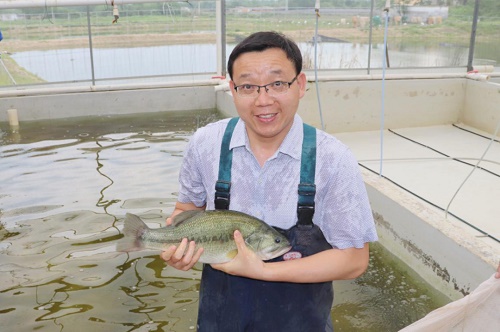 这个加州鲈苗种可不一般，适饲料、训食快、SPF全流程培育