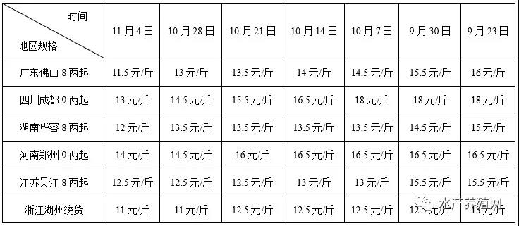 疫情+集中上市，加州鲈连续掉价！养殖户排队卖鱼，明年还能养吗？