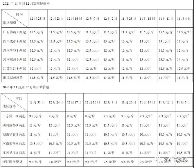 面积持续增加，价格却比去年又涨了2元！加州鲈发展势不可挡，但这两个点很容易爆雷！