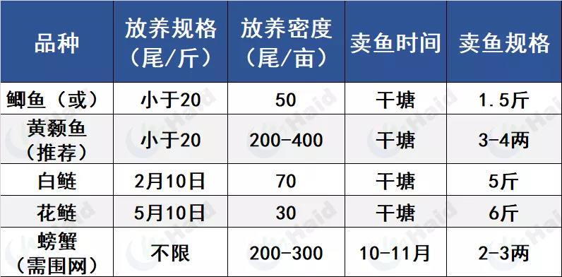 养殖模式选的好，鲈鱼赚钱少不了