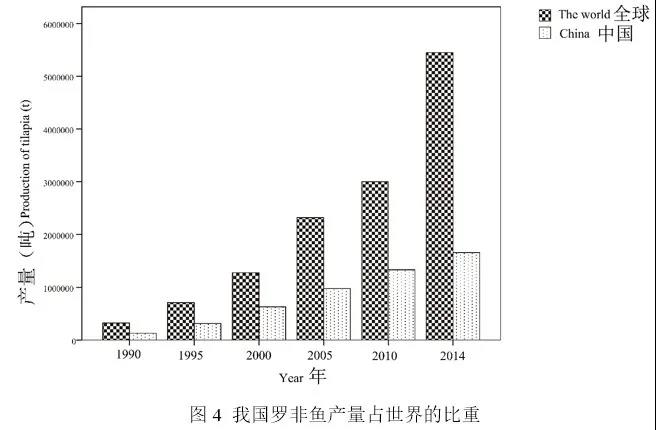 我国罗非鱼年产量最高占全球49%，现在养殖情况还好吗？