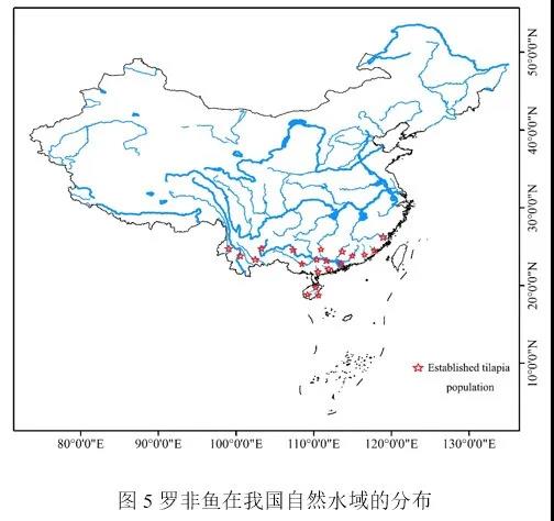 我国罗非鱼年产量最高占全球49%，现在养殖情况还好吗？