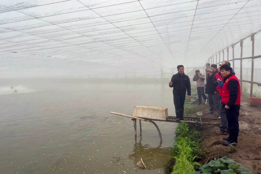 水产轻骑兵在行动，中山生鱼安然抗寒