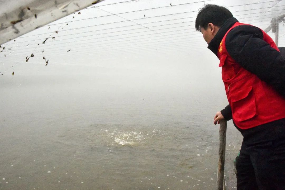 水产轻骑兵在行动，中山生鱼安然抗寒