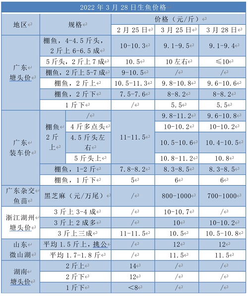 3月抢苗季，有中介叫卖“黑芝麻”，太反常了