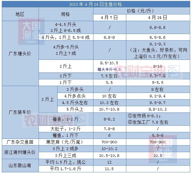 猛涨0.3元/斤！一波定鱼猛操作后，生鱼价格……业内人士看好5月中旬后价格？