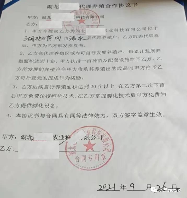 新手养殖户15天亏了7万多？如此简单的加盟骗局，为什么能屡屡得逞？