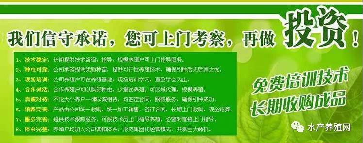 新手养殖户15天亏了7万多？如此简单的加盟骗局，为什么能屡屡得逞？