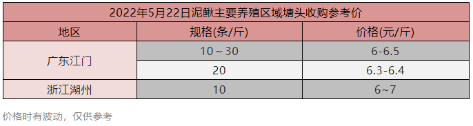 亏6万也要出鱼！卖一塘亏一塘，今年养这条鱼伤透了养殖户的心