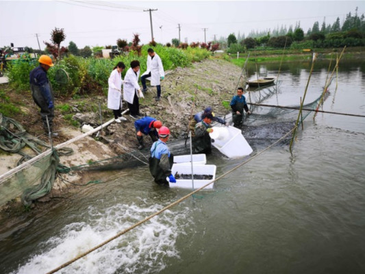 浙江省淡水水产研究所科技人员开展黄颡鱼拟态弧菌灭活疫苗试验示范