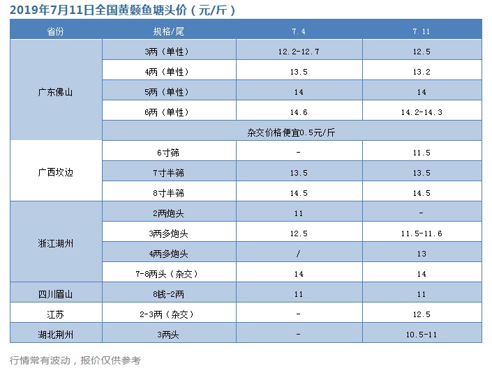 疯狂涨价！这条鱼或涨超15元/斤大关，又吸引养户投苗了！| 黄颡鱼行情播报