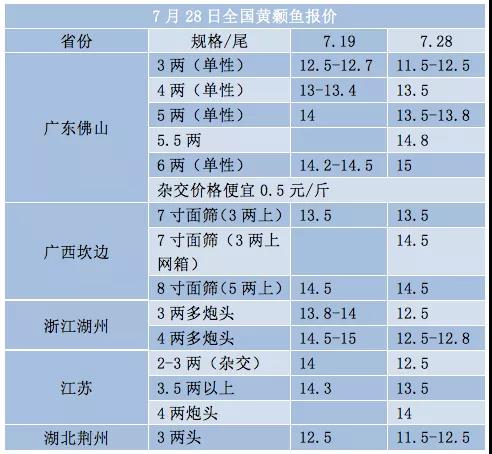 大涨过后，这条鱼价格已到临界点？多省鱼价趋稳，后市还会涨吗？