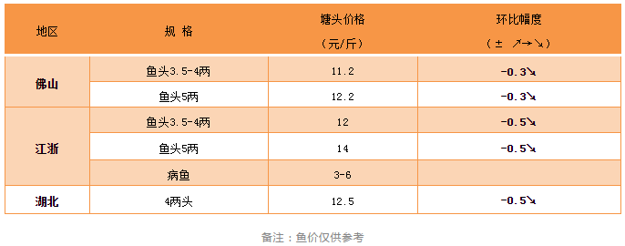 浙江超3成鱼发病，一旦感染全军覆没