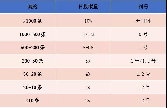 泥鳅高密度养殖模式注意这些关键点，亩利润超19000元！