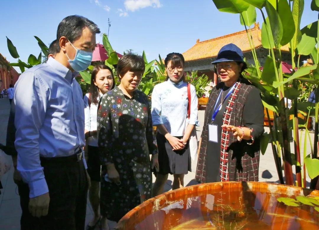 十二省市匠心荟聚 千余金鱼争妍斗奇